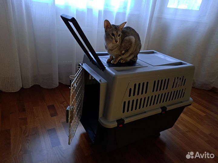 Контейнер-переноска для кошек и собак