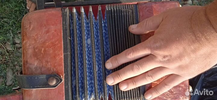 Гармонь тульская