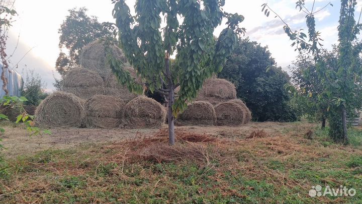 Сено в рулонах и в тюках