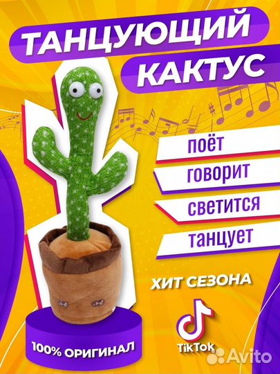 Кактус танцующий