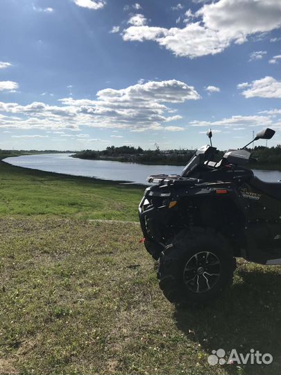 Стелс гепард