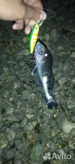 Воблер универсальный VAR