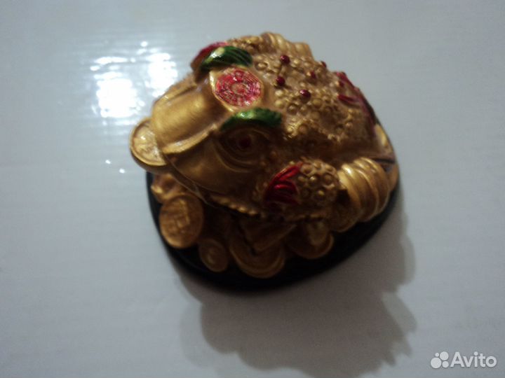 Жаба денежная