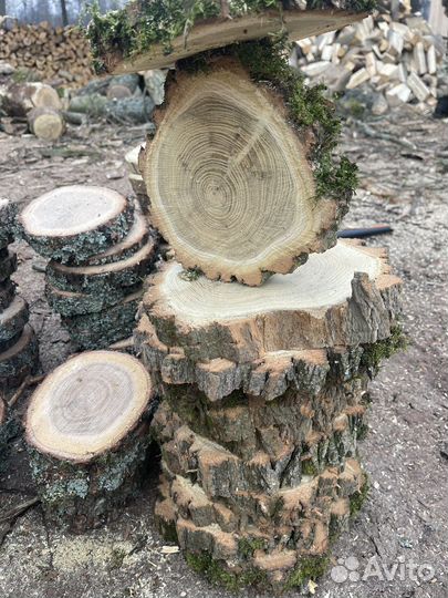 Слэб,спил дерева набор слэбов для поделок