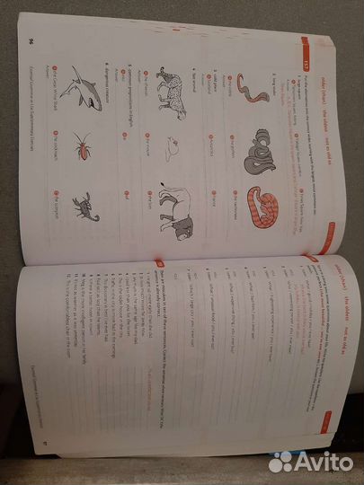 Учебник английского языка