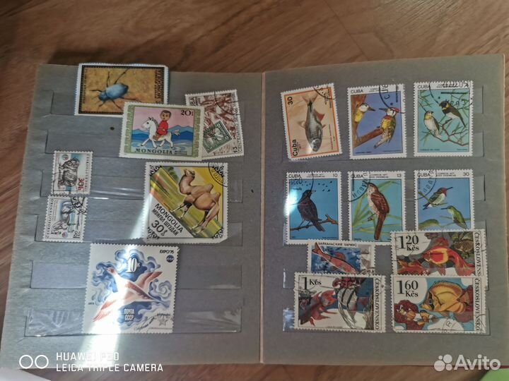 Альбом марок