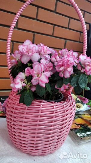 Кашпо горшок для цветов