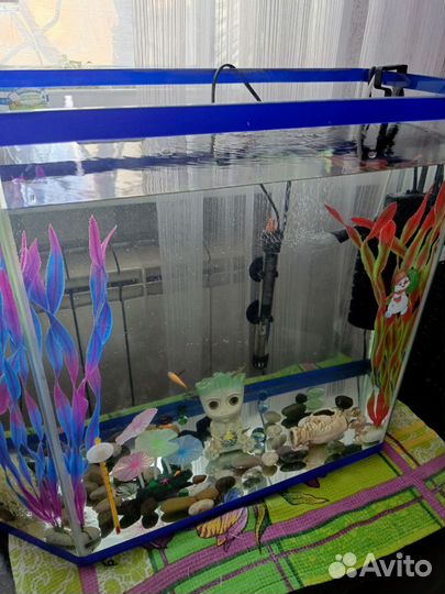 Аквариум