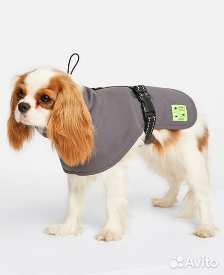 Попона для собак