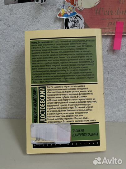 Достоевский записки из мертвого дома