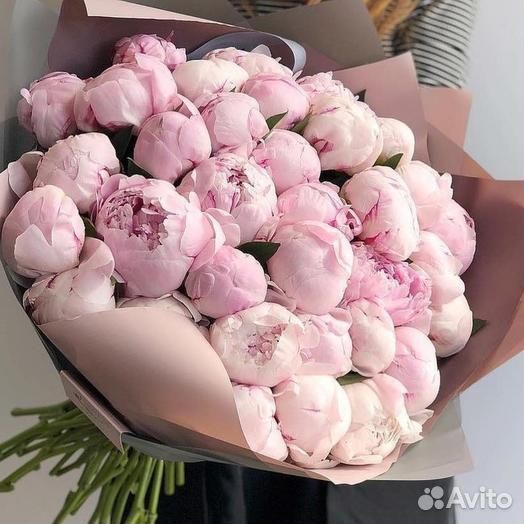 Пионы букет