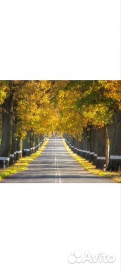 Наследие Пруссии