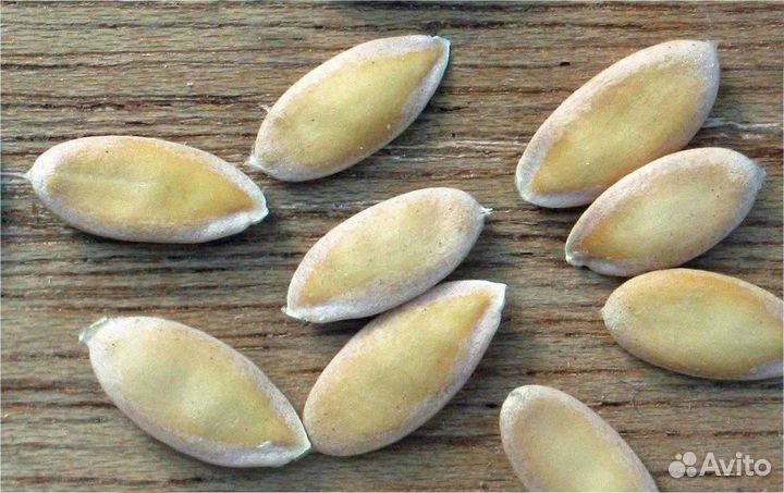 Дыня, арбуз семена