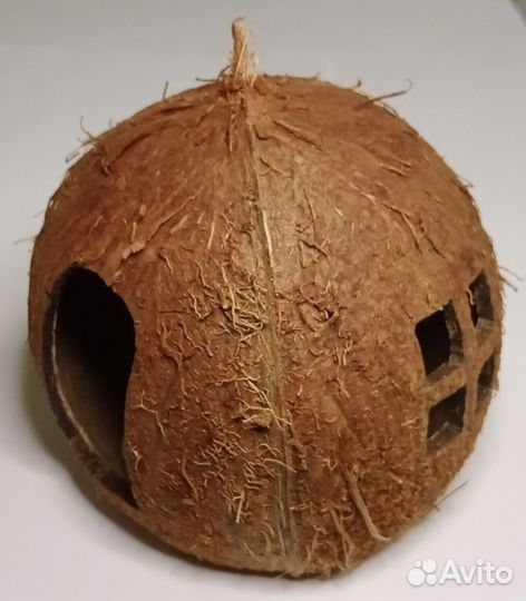 Грот из кокоса, дом для хомяка, домик для ахатин