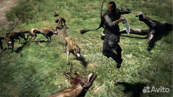 Dragons Dogma PS3