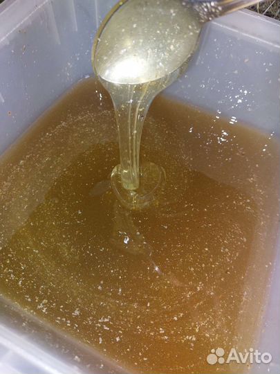 Пчелы улья пасека