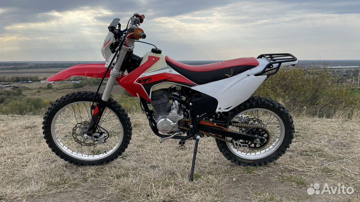 Kayo t2