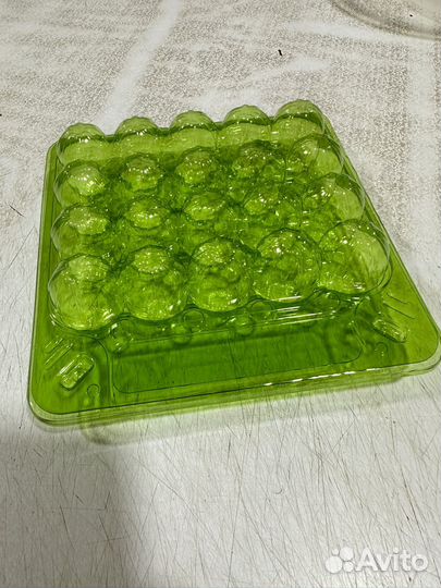 Ячейки для перепелиных яиц