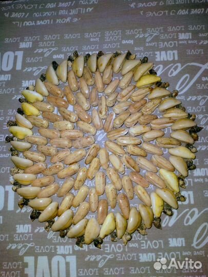 Продам подставки под горячее