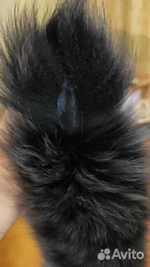 Мех, опушка, песец, тёмно-серая