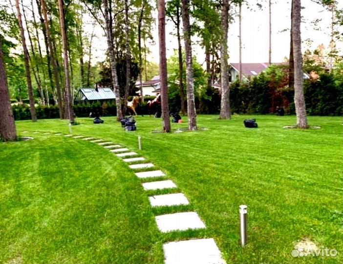 Рулонный газон