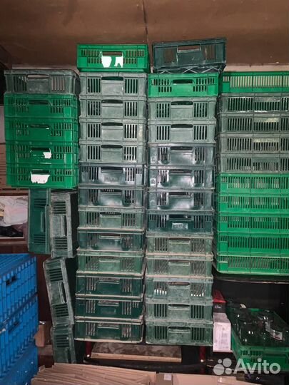 Ящик для цыплят