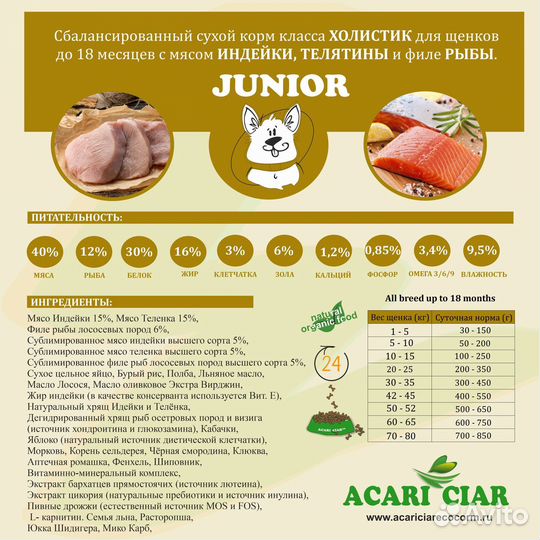 Junior Dog (5, mini)