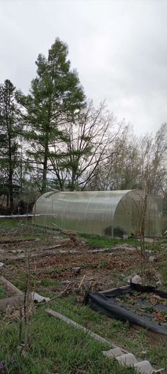 Дом 35 м² на участке 8,7 сот.