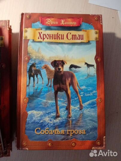 Книги Эрин Хантер 