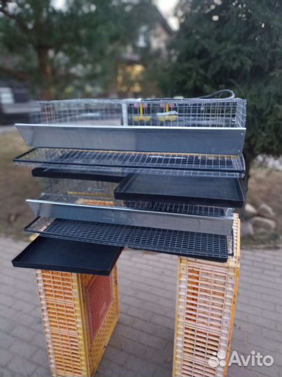 Клетка для перепелов на 60 перепелов