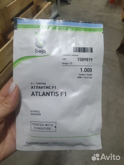 Семена Огурец Атлантис 1000с Бейо