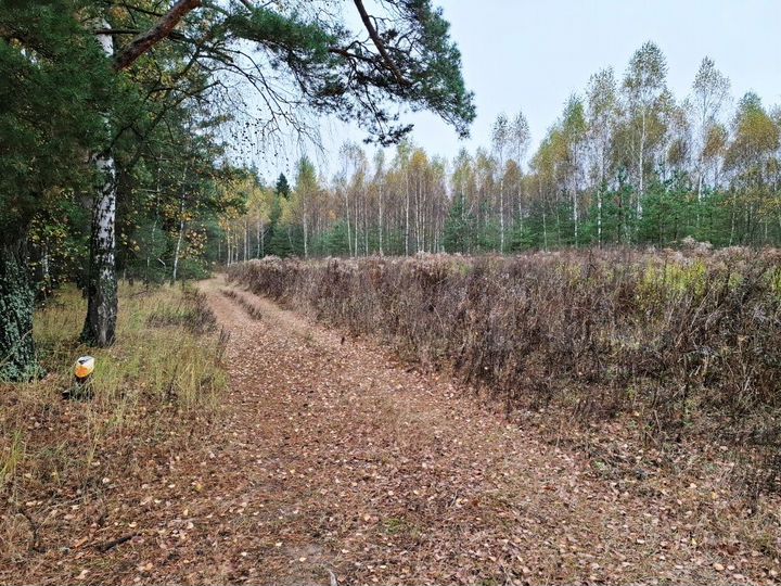 Участок 2,4 га (СНТ, ДНП)