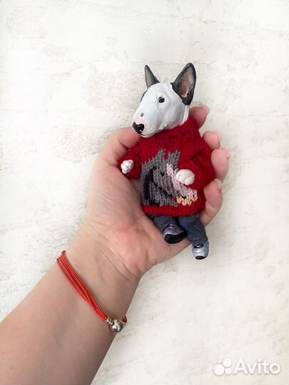 Бультерьер Граф