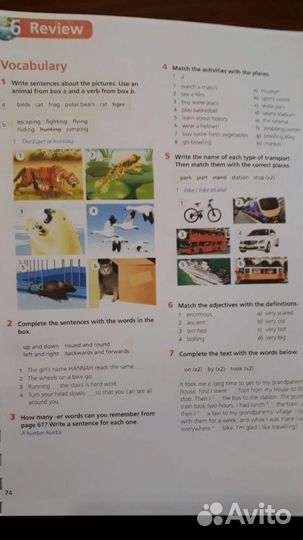 Eyes Open 1 Student's Book