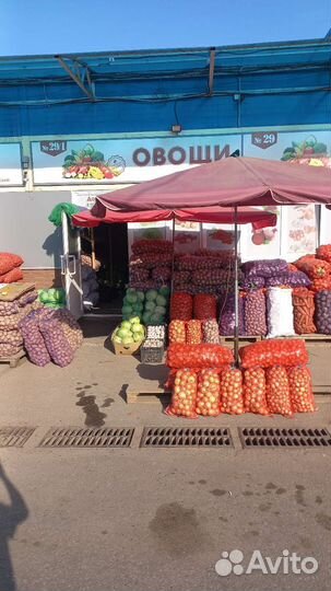 Овощи оптом и в розницу