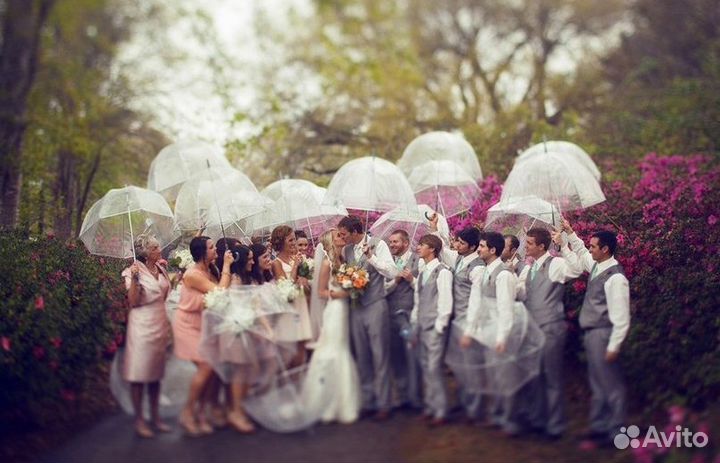 Аренда зонтов для свадьбы