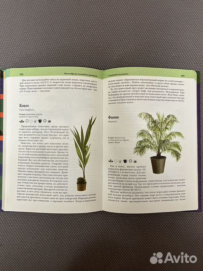 Комнатные растения