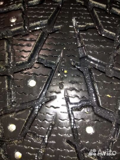 Maxxis ArcticTrekker NS3 225/60 R17 103T