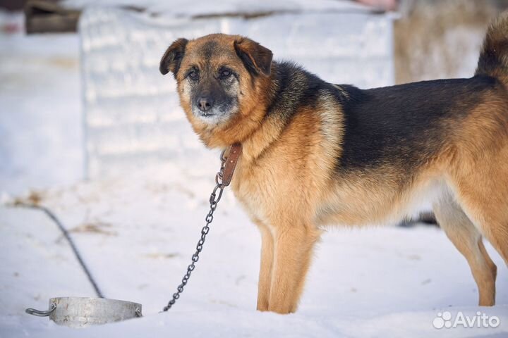 Леся ищет добрую семью