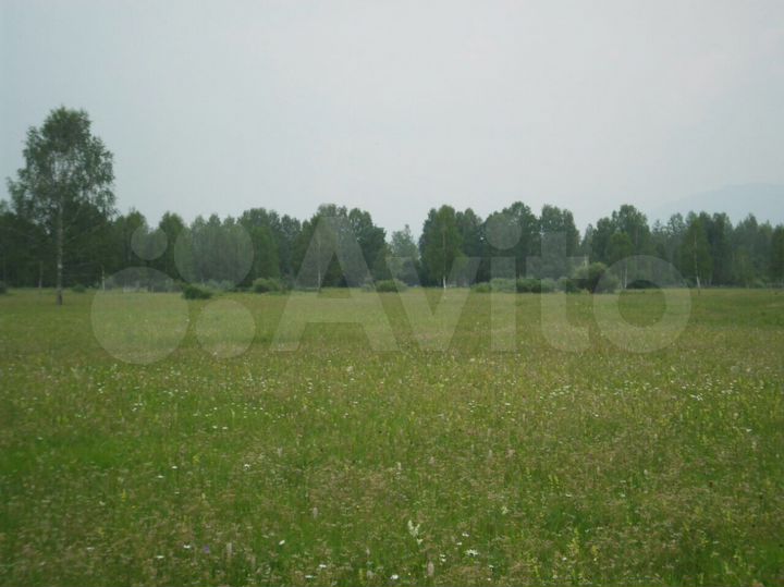 Участок 100 сот. (СНТ, ДНП)