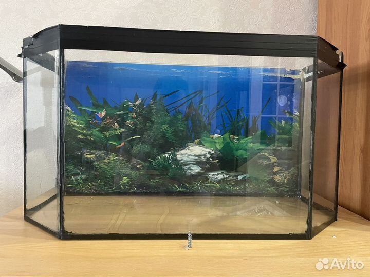Аквариум 75 л