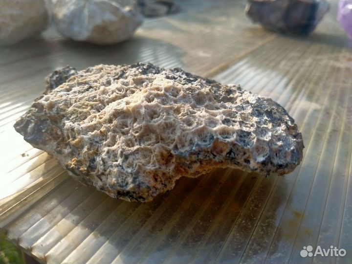 Камни и минералы