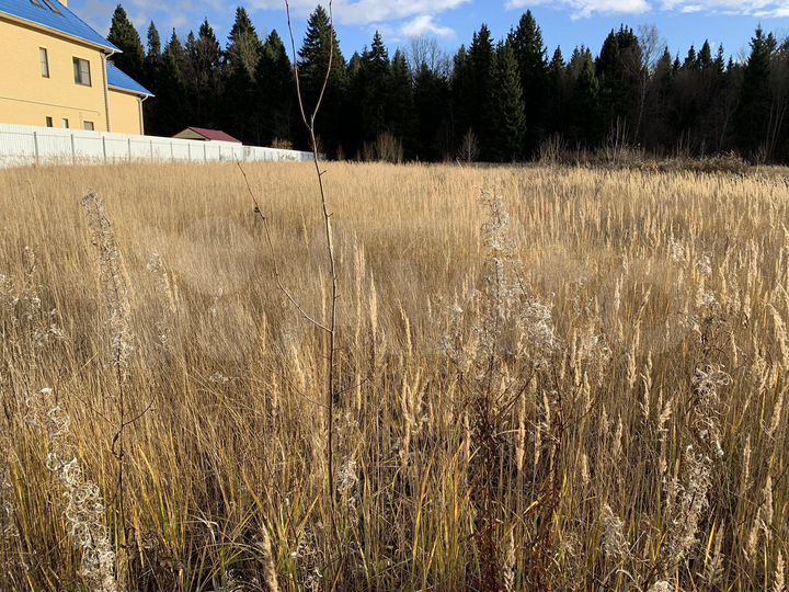 Участок 15 сот. (ИЖС)