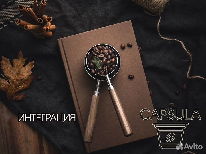 Готовься к успеху с capsula