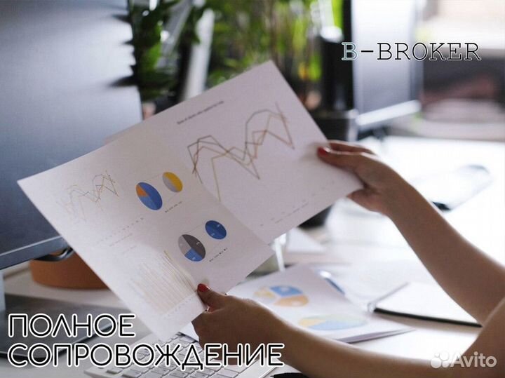 Профессиональный старт с B-Broker