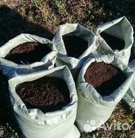 Плодородная земля