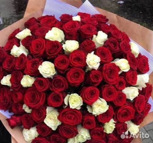Красные розы букет 101 роза 51 роза