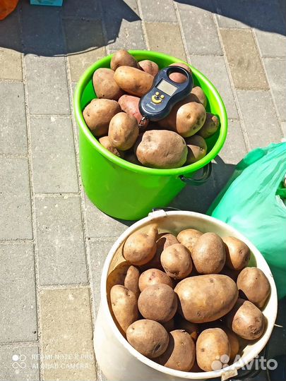 Продам картофель с доставкой