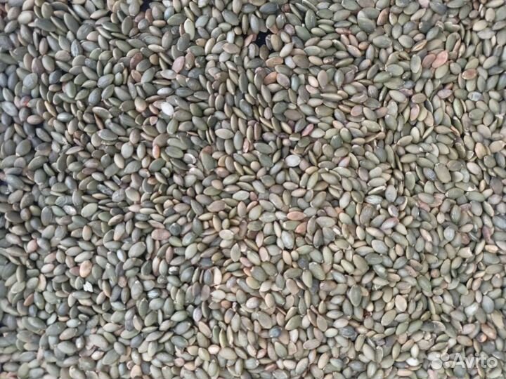 Масло подсолнечное с запахом жаренных семечек