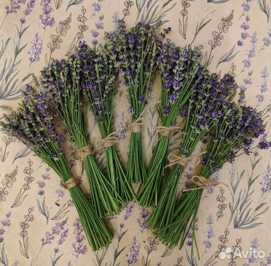 Букетик лаванды